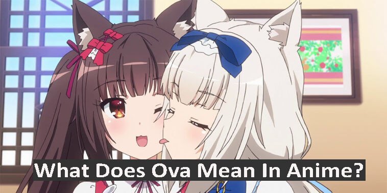 What Does Ova Mean In Anime jpg