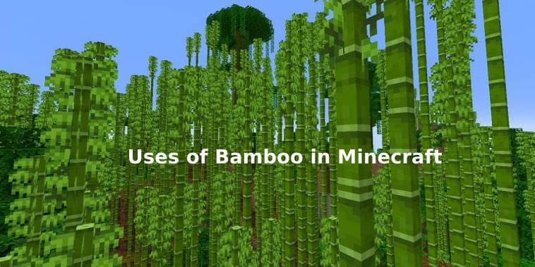 Uses-of-Bamboo-in-Minecraft1