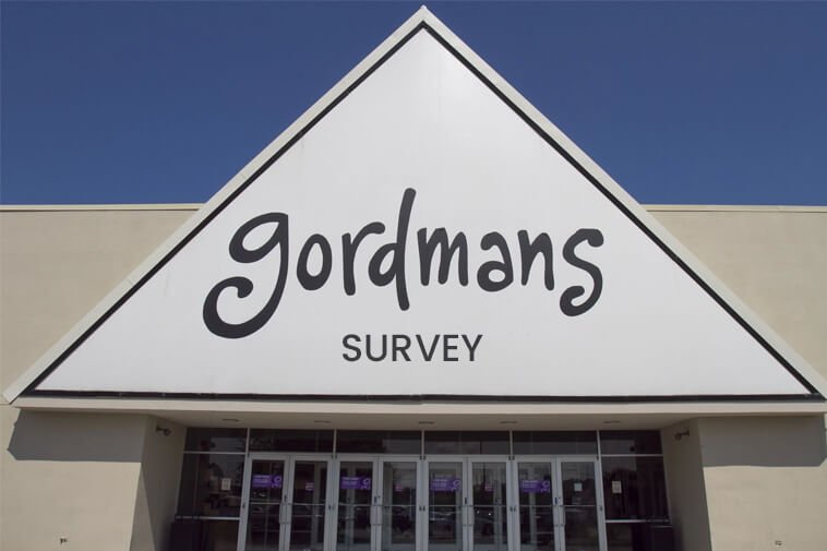 gordmans survey